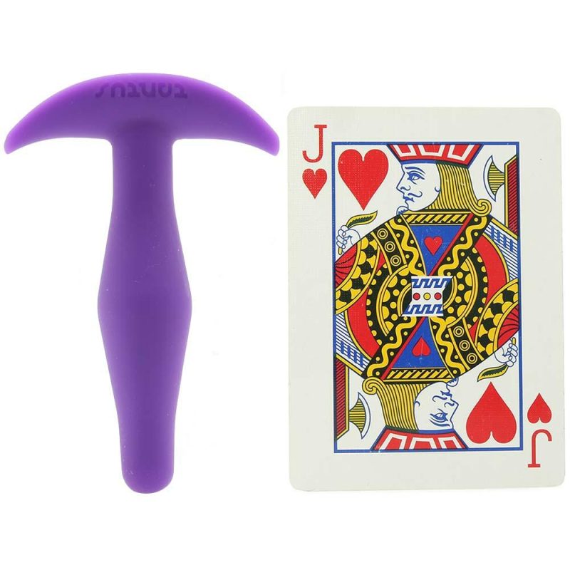 Anal Sex Toys | Little Flirt Beginner’s Rocker Plug In Purple Anal Sex Toys Anal Sex Toys