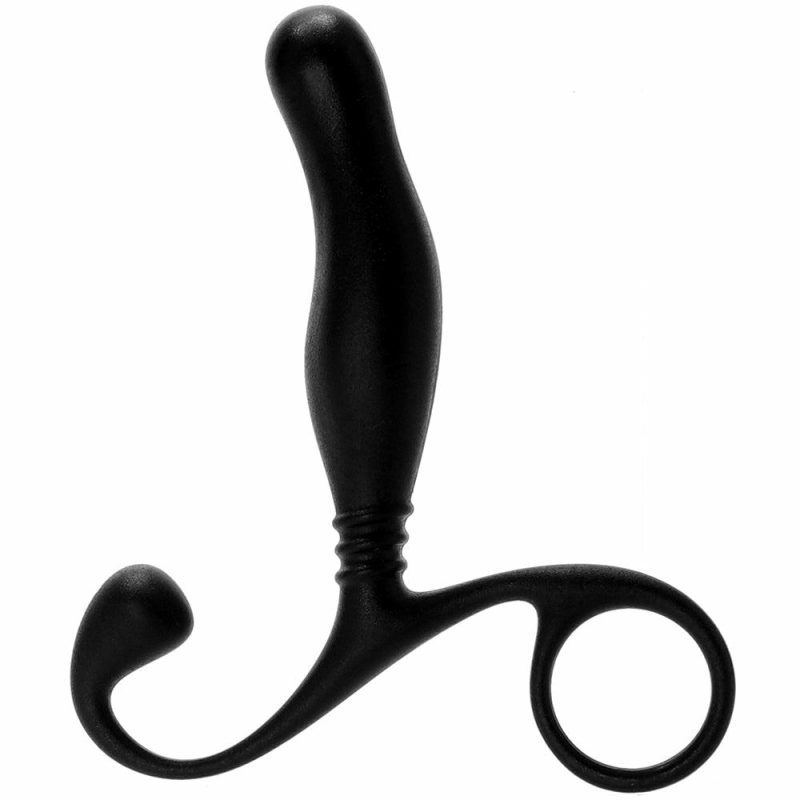 Anal Sex Toys | Prostate Massager In A Bag Anal Sex Toys Anal Sex Toys