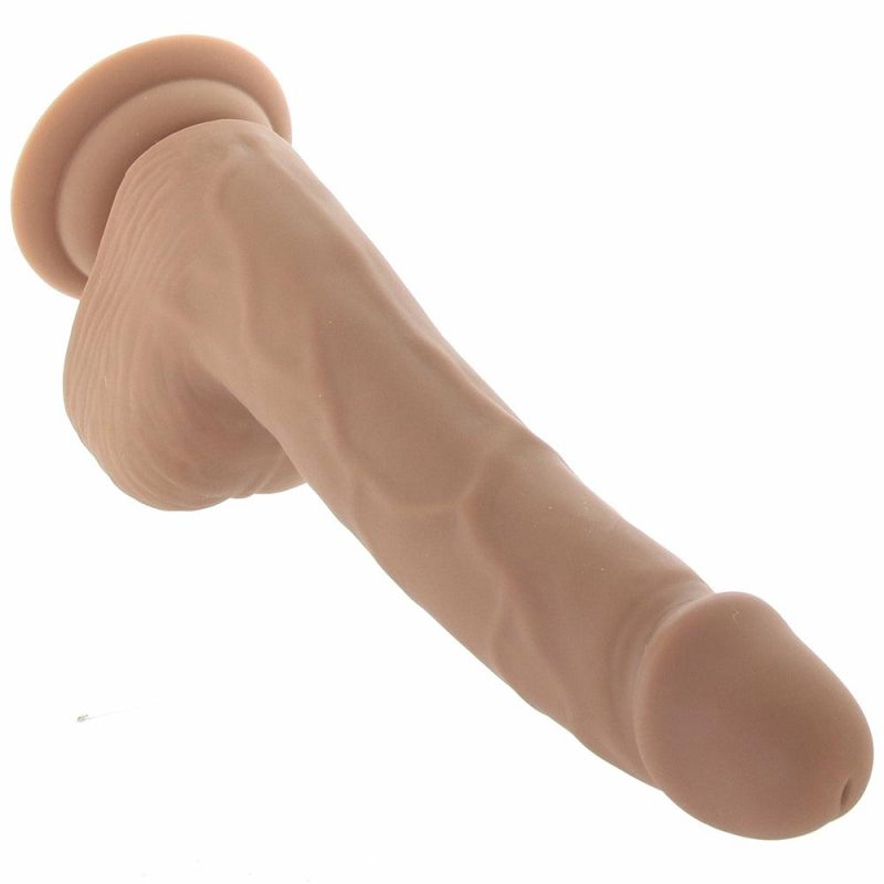 Dildos | Silicone Studs 8 Inch Dildo In Brown Dildos CalExotics