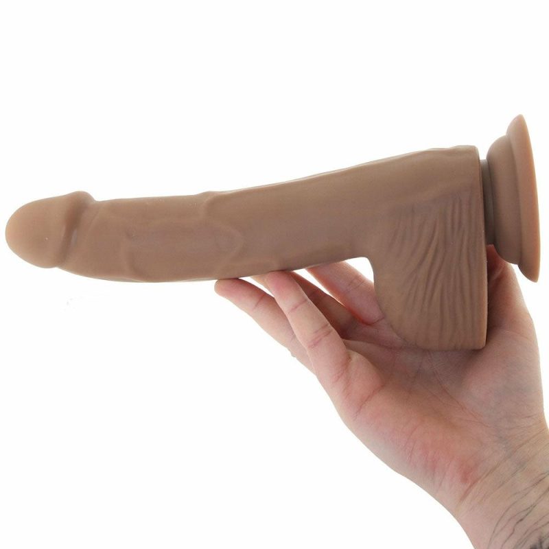 Dildos | Silicone Studs 8 Inch Dildo In Brown Dildos CalExotics