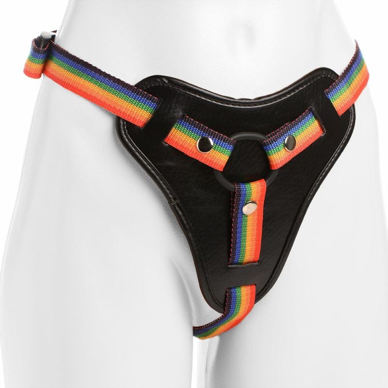 Dildos | Strap U Take The Rainbow Strap-On Harness Dildos Dildos