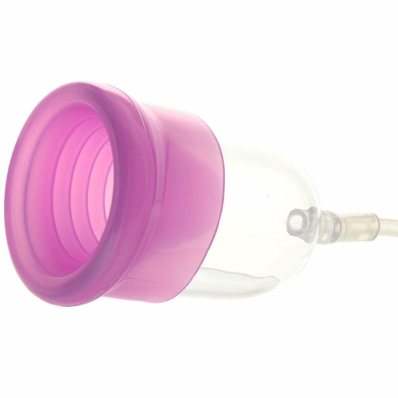 Vibrators | Intimate Pump In Purple Vibrators CalExotics