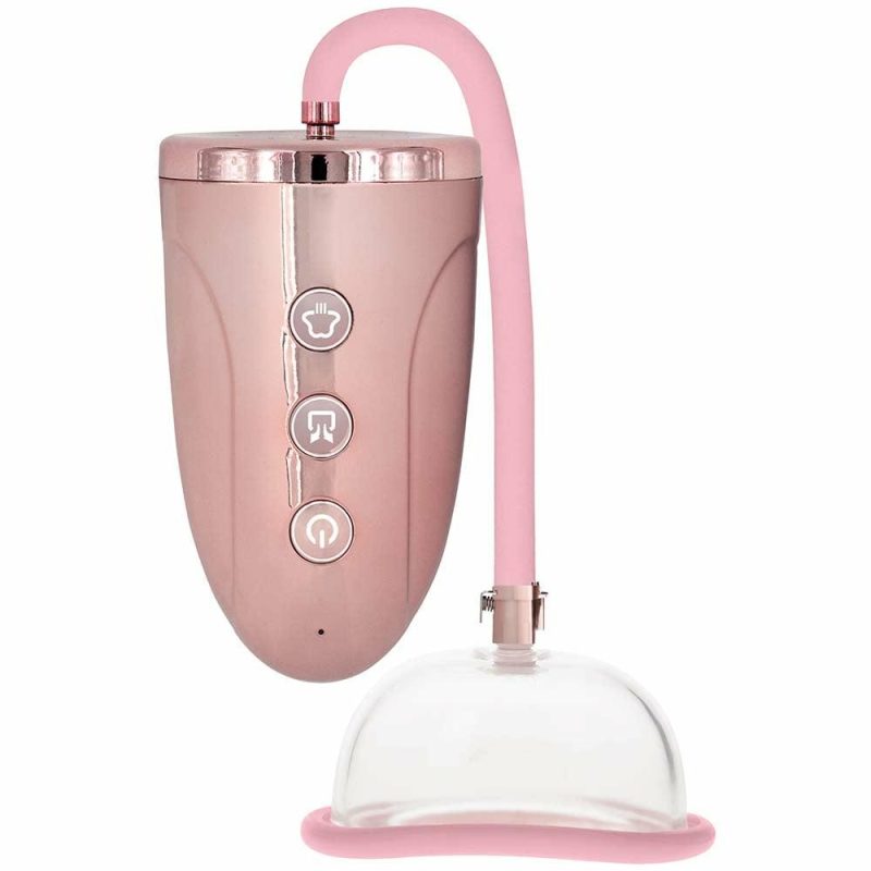 Vibrators | Pumped Rechargeable Pussy Pump Vibrators Pink